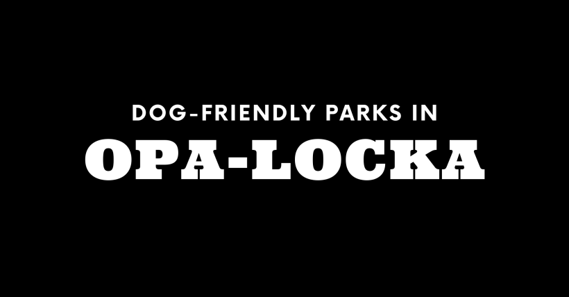 Dog-Friendly Parks in Opa-Locka